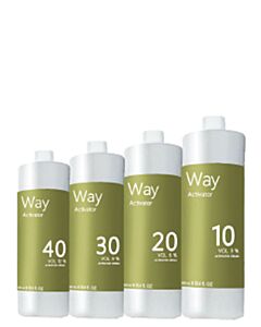 way activator 6 vol 1000ML ACTIE